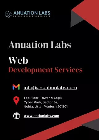 Website Development Anuation labs