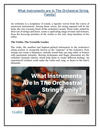What Instruments are in The Orchestral String Family?