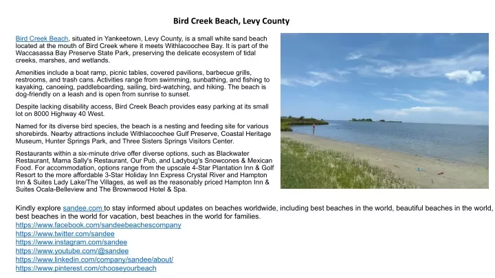 bird creek beach levy county