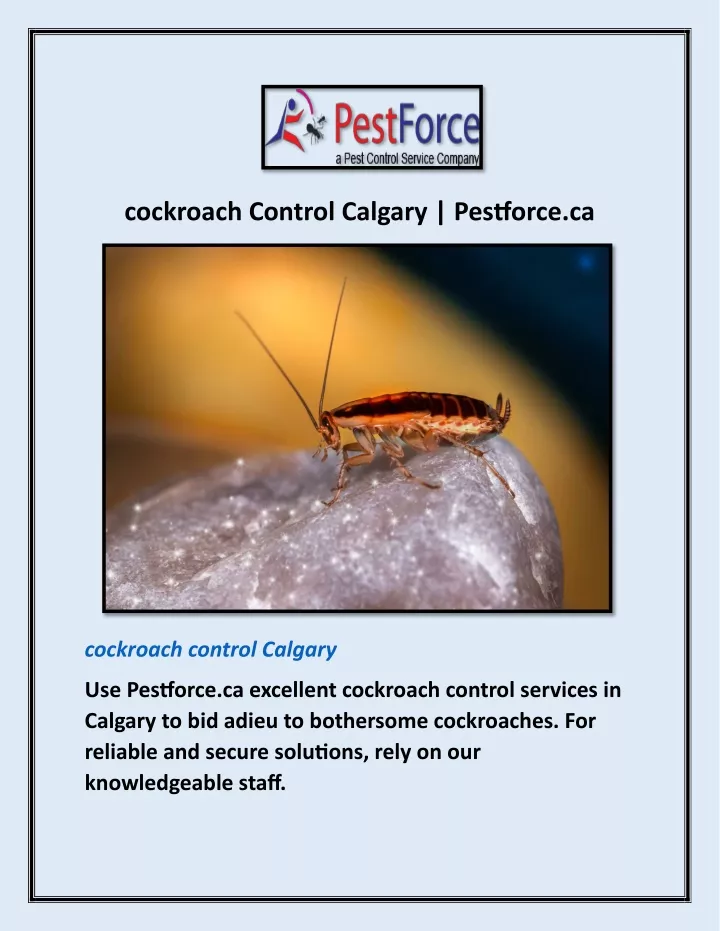 cockroach control calgary pestforce ca