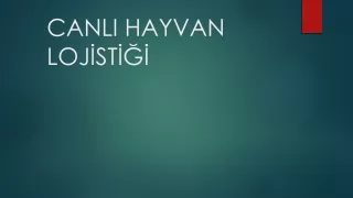 canli hayvan loj st