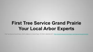 First Tree Service Grand Prairie