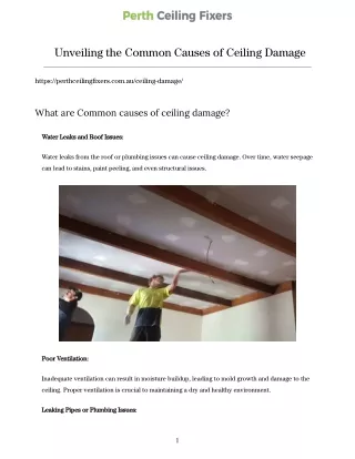 Unveiling the Common Causes of Ceiling Damage (1)