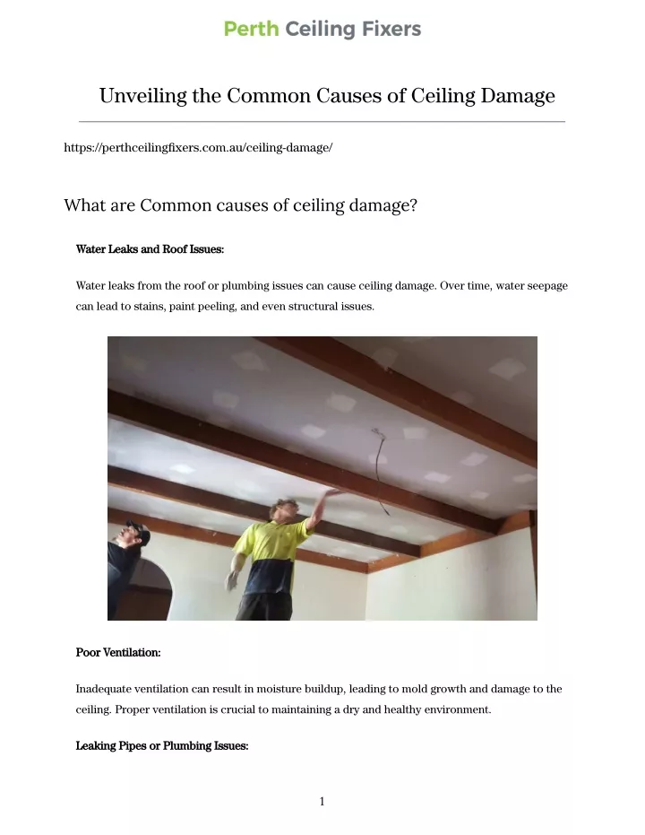 unveiling the common causes of ceiling damage