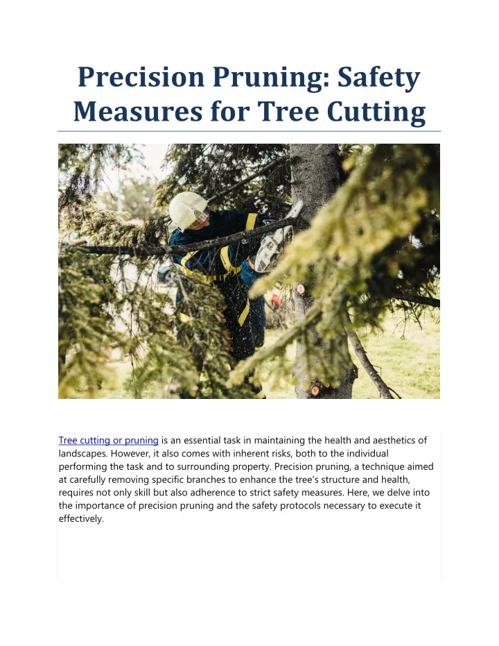 precision pruning safety measures for tree cutting