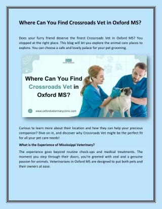 Where Can You Find Crossroads Vet in Oxford MS