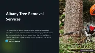 Trees and All (Albany tree removal services)