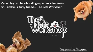 Grooming can be a bonding experience between you and your furry friend— The Pets Workshop