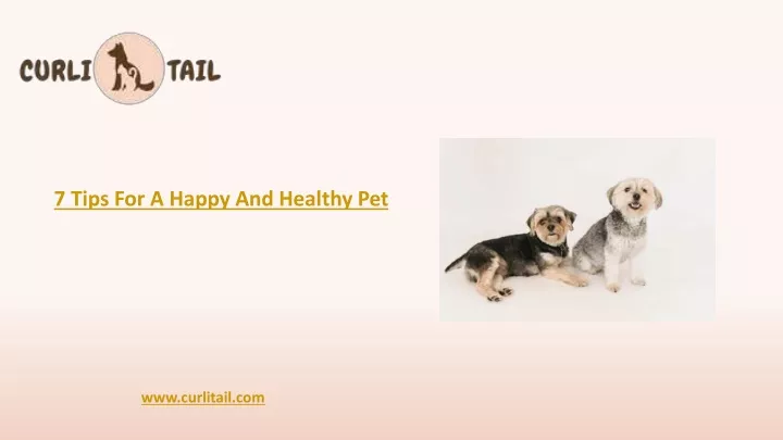 7 tips for a happy and healthy pet