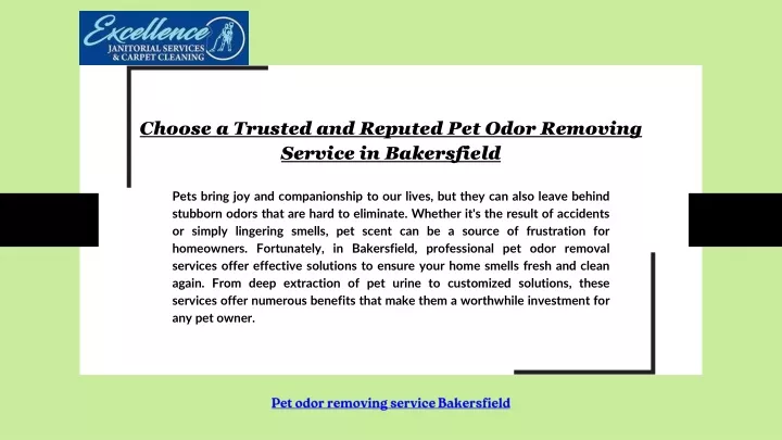 choose a trusted and reputed pet odor removing