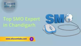 Top SMO Expert in Chandigarh: Ellocent Labs