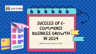 Success Of E-Commerce Business Growth in 2024