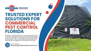 Maintain a Pest-Free Environment With Commercial Pest Control