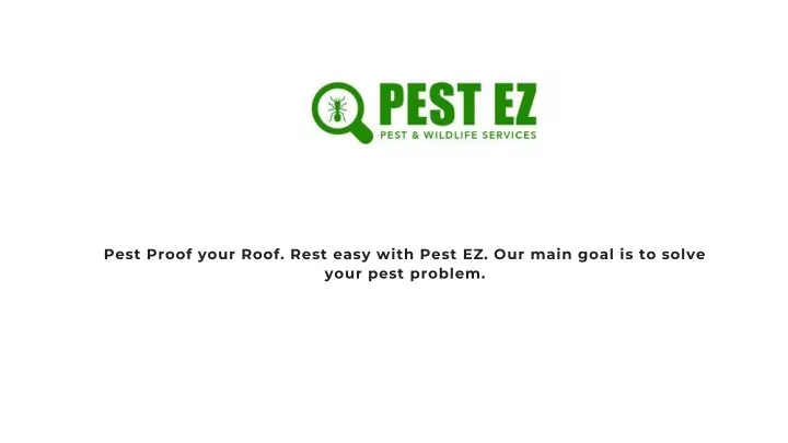 pest proof your roof rest easy with pest