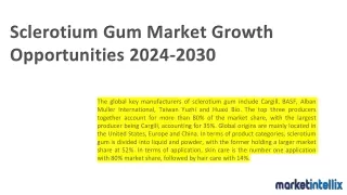 Sclerotium Gum Market Top Leading Players with Strategies and Forecast 2030