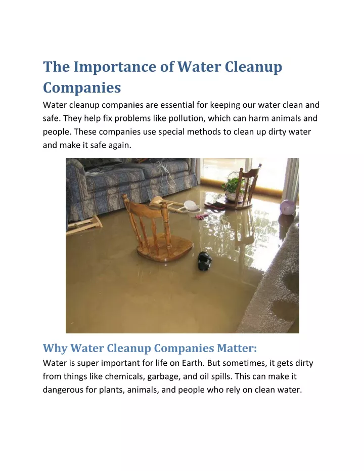 the importance of water cleanup companies water