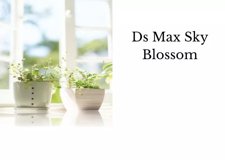 ds max sky blossom