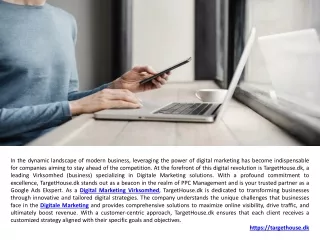 Google Ads Ekspert Digital Marketing Virksomhed
