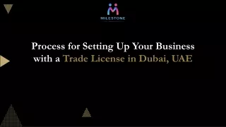 Process for Setting Up Your Business with a Trade License in Dubai, UAE