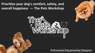 Prioritize your dog's comfort, safety, and overall happiness  — The Pets Workshop
