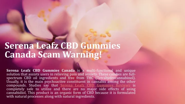 serena leafz cbd gummies canada scam warning