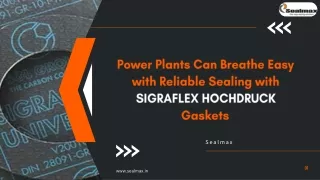 Power Plants Can Breathe Easy Reliable Sealing with Sigraflex Hochdruck Gaskets
