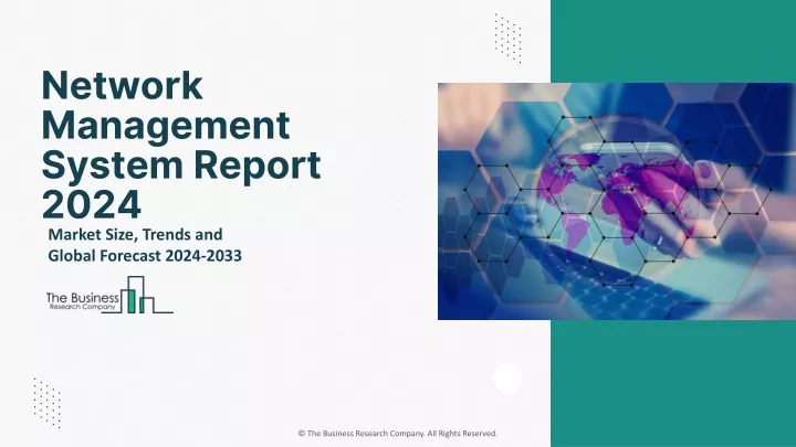 network management system report 2024