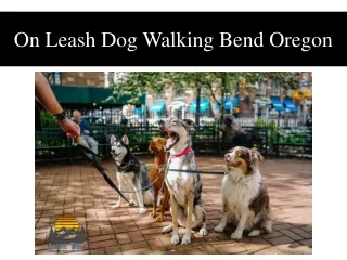 On Leash Dog Walking Bend Oregon