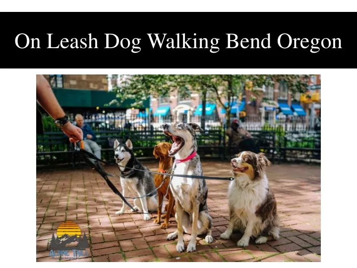 on leash dog walking bend oregon