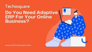 do you need adaptive erp for your online business
