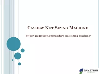 Automatic Raw Cashew Nut Sizing System