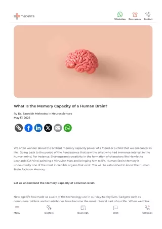 What Is the Memory Capacity of a Human Brain?