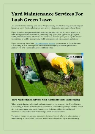 Yard Maintenance Services For Lush Green Lawn
