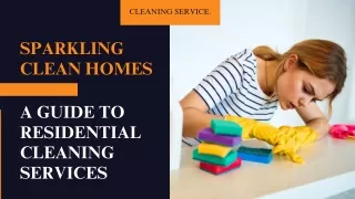 cleaning service