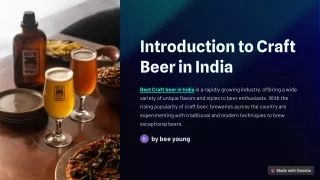 best craft beer in india