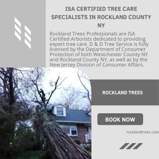 ISA Certified Tree Care Specialists in Rockland County NY