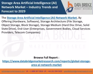 storage area artificial intelligence ai network