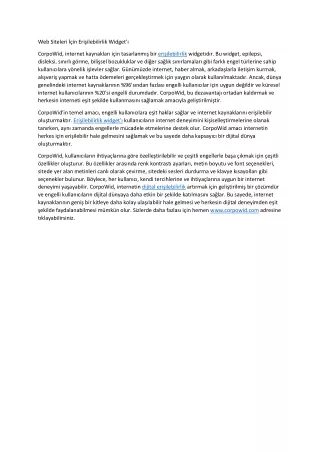 web siteleri in eri ilebilirlik widget