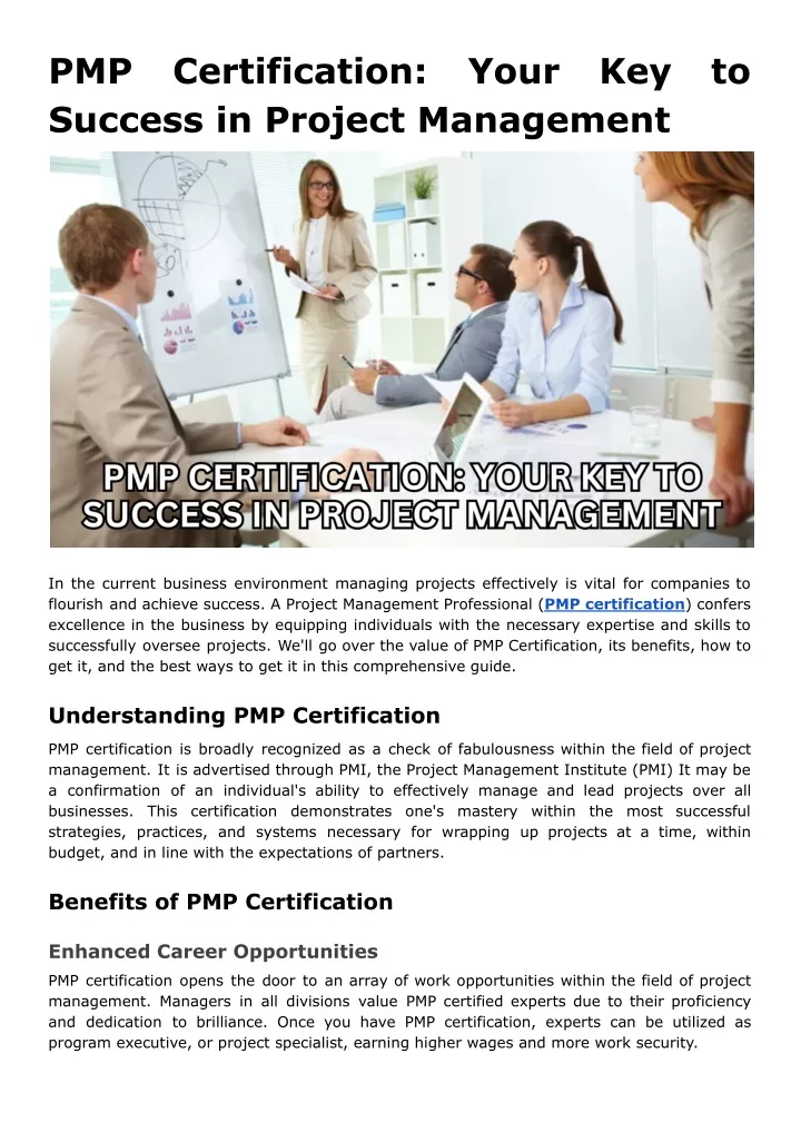 pmp success in project management