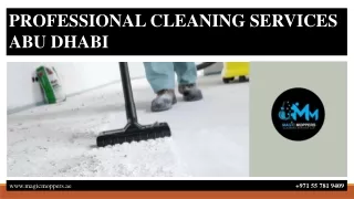 PROFESSIONAL CLEANING SERVICES ABU DHABI