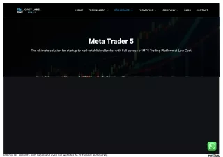 www_greylabelforex_com_meta-trader-5__