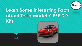 Learn Some Interesting Facts about Tesla Model Y
