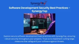 Software Development Security - SynergyTop