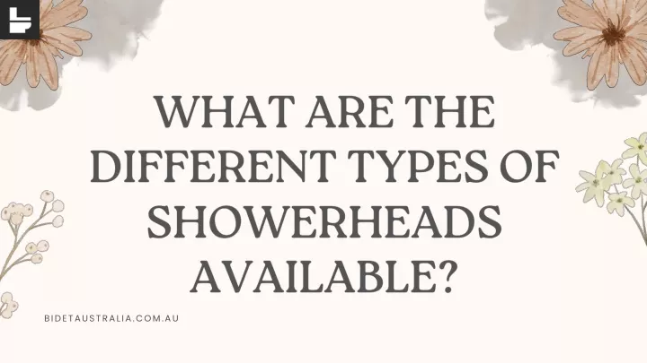 what are the different types of showerheads