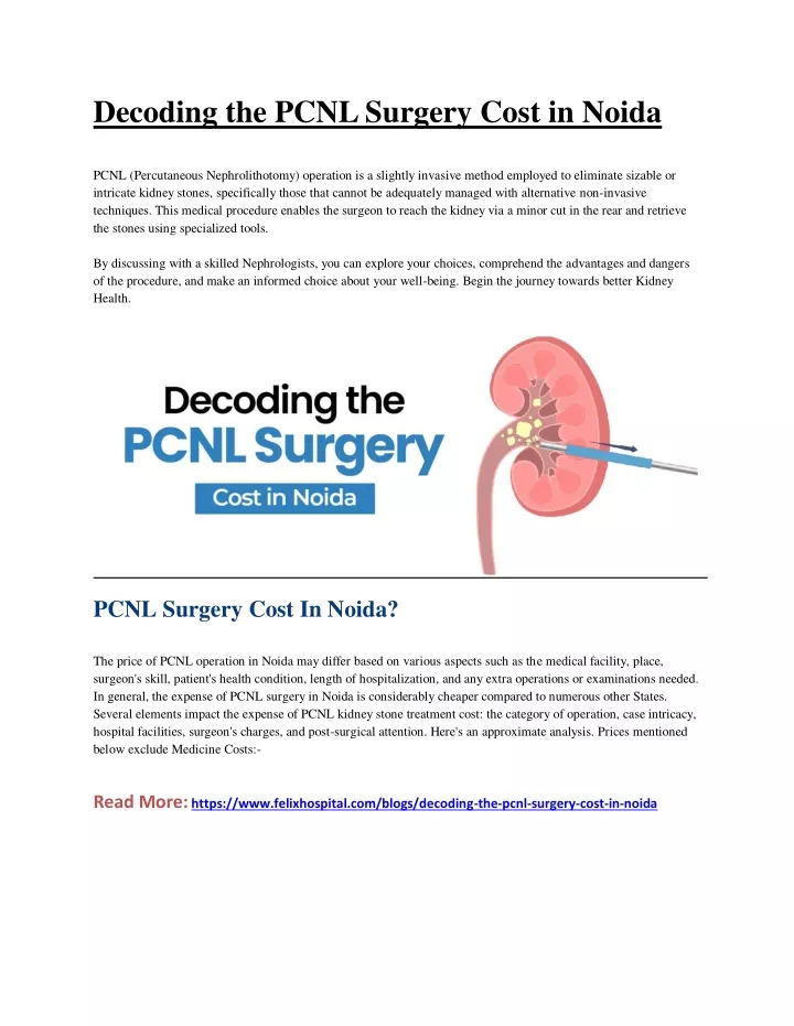 decoding the pcnl surgery cost in noida pcnl