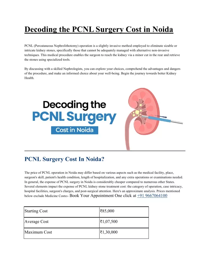 decoding the pcnl surgery cost in noida pcnl