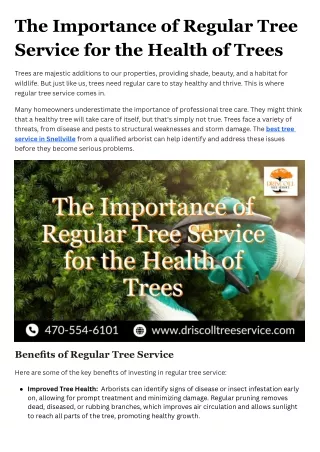 The Importance of Regular Tree Service for the Health of Trees