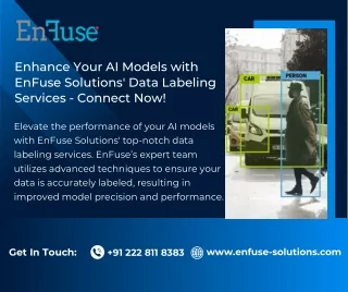 Enhance Your AI Models with EnFuse Solutions' Data Labeling Services - Connect N