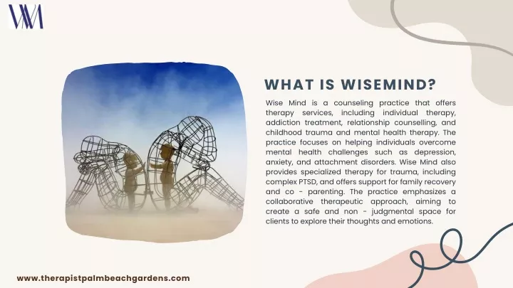 what is wisemind