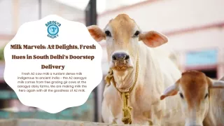 Milk Marvels: A2 Delights, Fresh Hues in South Delhi's Doorstep Delivery